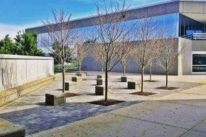 Commercial Patio and Memorial Area