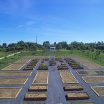 commercial landscape