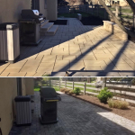 Before and After