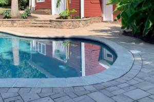 Tropical Backyard Pool and Patio 