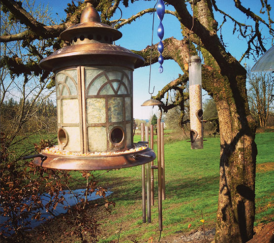 Bird Feeders & Gardening Tools | Frederick Maryland Bird Feeders & Gardening Tools | Frederick Maryland