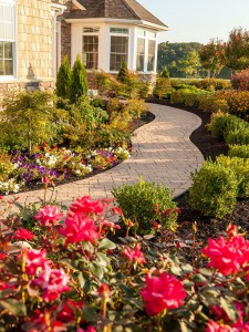 Annuals, Perrenials, Plants & More from Barrick's Garden Center