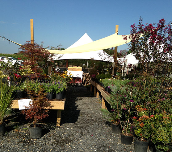 Nursery and Garden Center in Frederick Maryland Nursery and Garden Center in Frederick Maryland