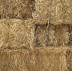 Straw & Mulch | Frederick Maryland