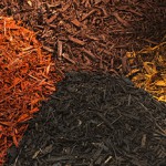 Hardwood Mulch | Frederick Maryland