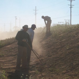 Sodding in Frederick Maryland