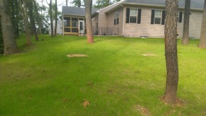 Landscape Services in Frederick Maryland