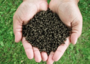Grass Seed, Patio, Outdoor Furniture, Landscaping Services in Frederick MD