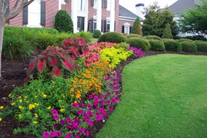 Landscaping Services and Supplies in Frederick Maryland Landscaping Services and Supplies in Frederick Maryland