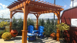 pergola-5
