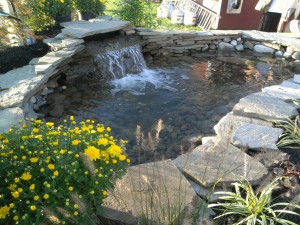 Water Features and Ponds | Frederick Maryland