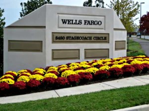 Commercial & Residential Landscaping Services in Frederick Maryland