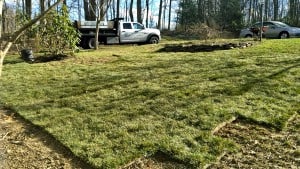 Sodding in Maryland