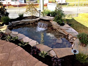 Custom Ponds in Frederick Maryland