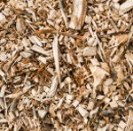 ThinkstockPhotos-470249522