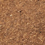 pine fines