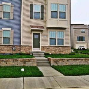 commercial sod