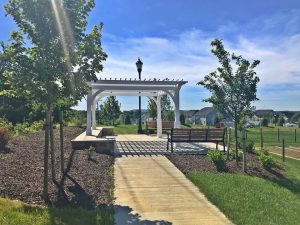 pergola commercial